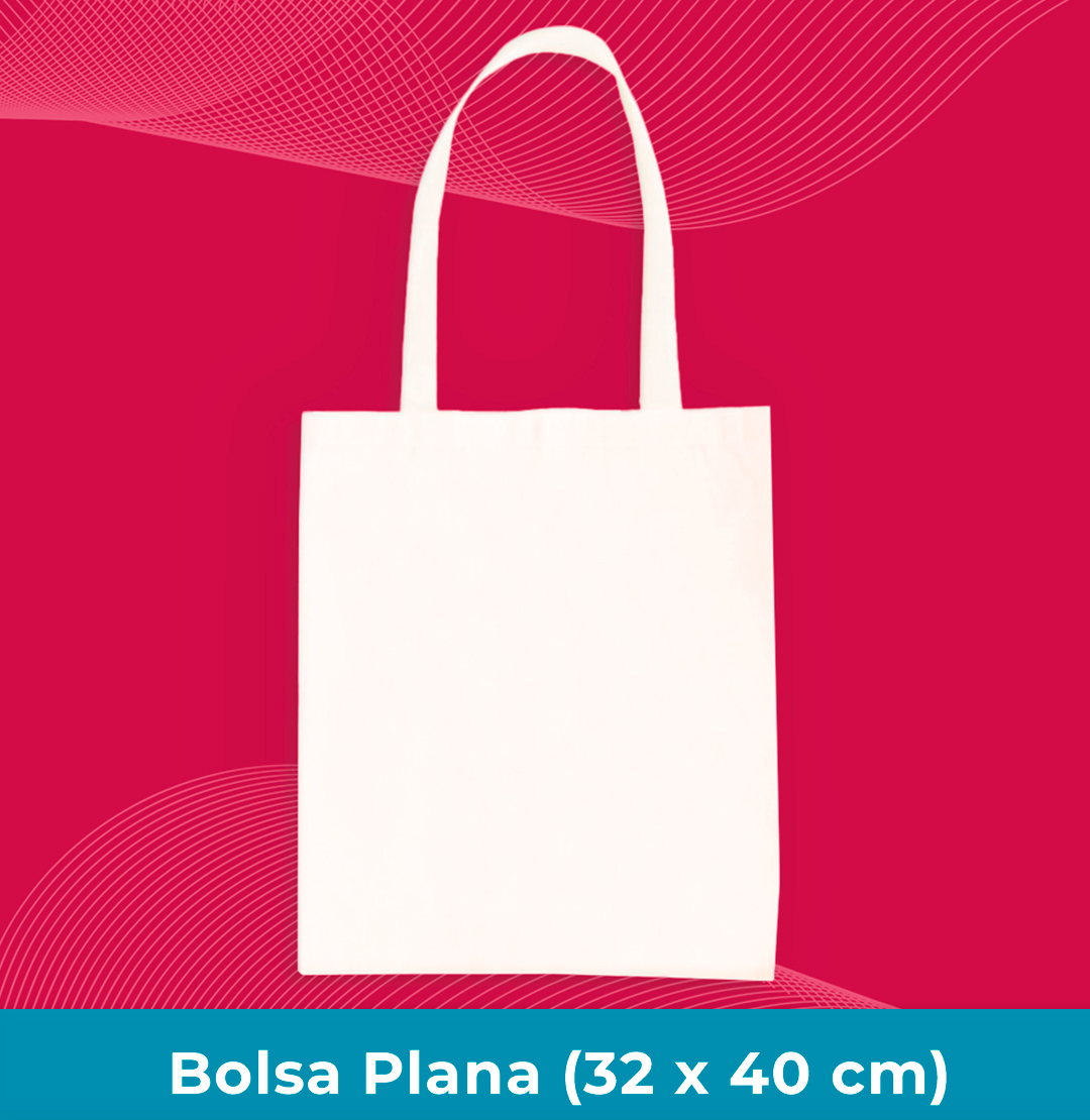 bolsa plana 1