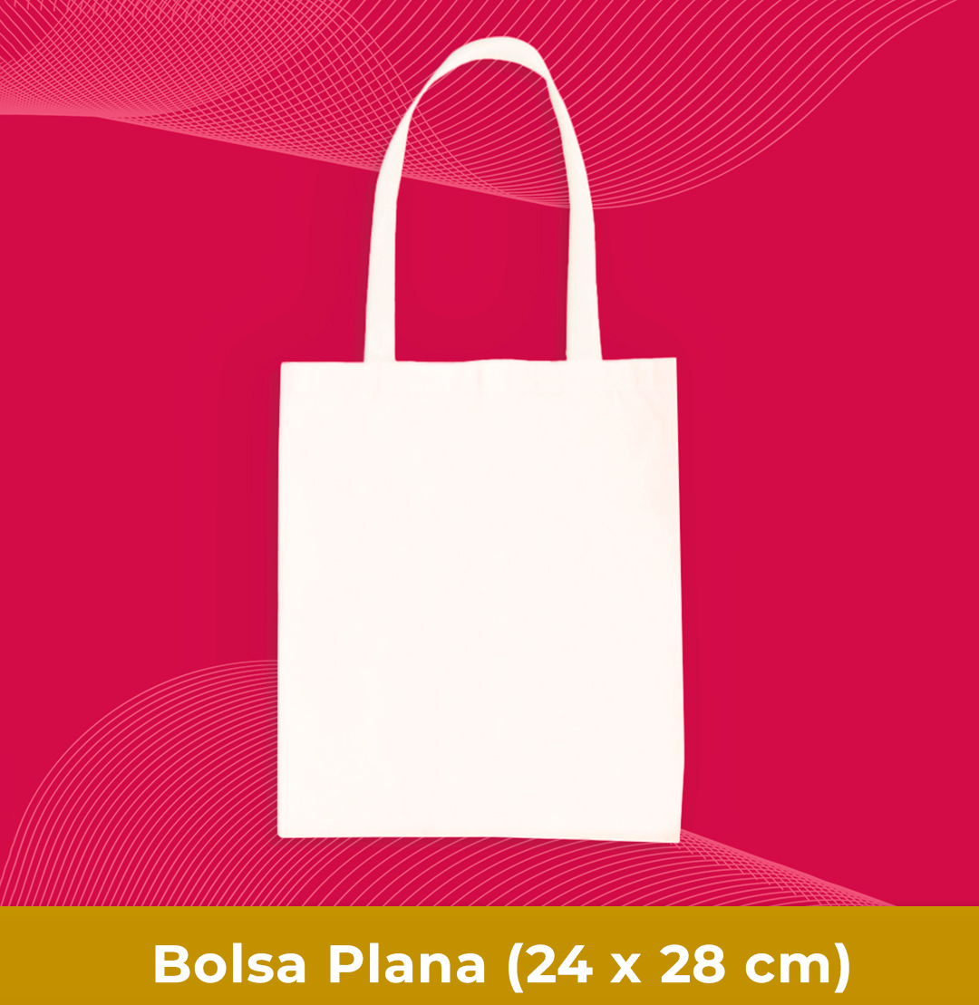 bolsa plana 2